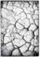 bg06.jpg